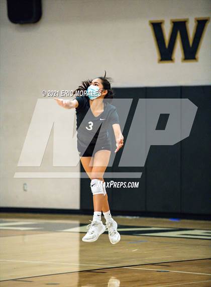 Thumbnail 1 in Patrick Henry @ Westview photogallery.