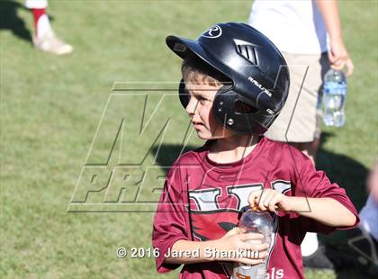 Thumbnail 1 in North Webster @ E.D. White (LHSAA 3A Quarterfinal) photogallery.