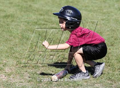 Thumbnail 1 in North Webster @ E.D. White (LHSAA 3A Quarterfinal) photogallery.