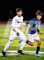 Photo from the gallery "Laguna Creek @ Burbank"