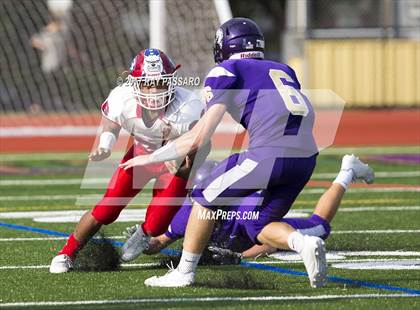 Thumbnail 1 in Bellport @ Islip photogallery.