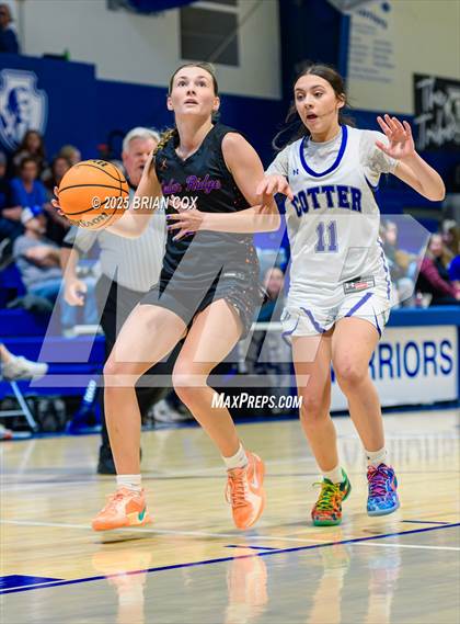 Thumbnail 3 in Cedar Ridge @ Cotter photogallery.