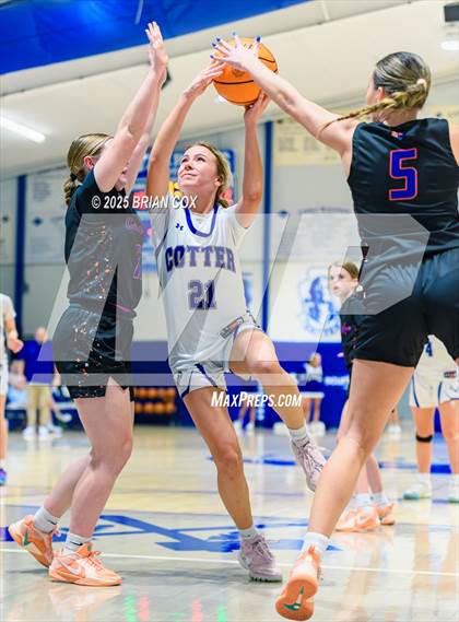 Thumbnail 2 in Cedar Ridge @ Cotter photogallery.