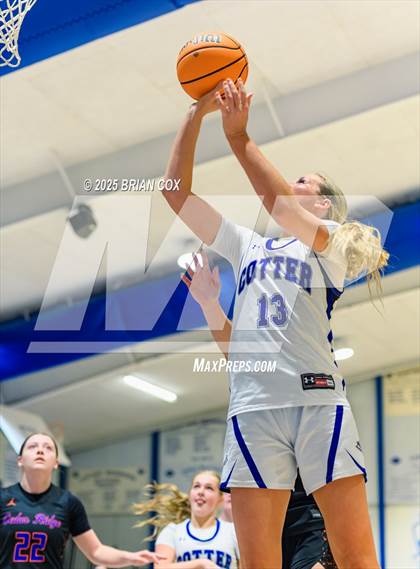 Thumbnail 1 in Cedar Ridge @ Cotter photogallery.