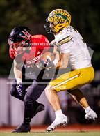 Photo from the gallery "Edison @ Palos Verdes (CIF SS Division 3 Semifinals)"