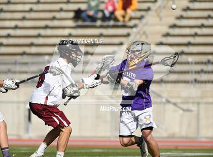 Thumbnail 3 in Littleton @ Ponderosa photogallery.