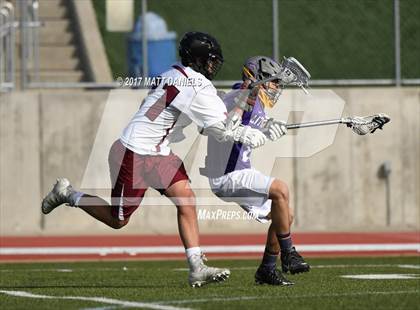 Thumbnail 2 in Littleton @ Ponderosa photogallery.
