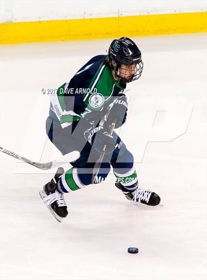 Thumbnail 1 in Lowell Catholic vs. Scituate (MIAA Division 2 Final) photogallery.