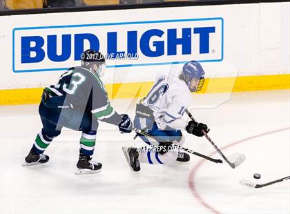 Thumbnail 1 in Lowell Catholic vs. Scituate (MIAA Division 2 Final) photogallery.