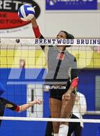 Photo from the gallery "Ravenwood @ Brentwood"