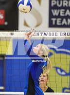 Photo from the gallery "Ravenwood @ Brentwood"