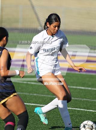 Panther Creek vs. Sunnyvale (UIL 4A D2 Girls Soccer Bi-District)