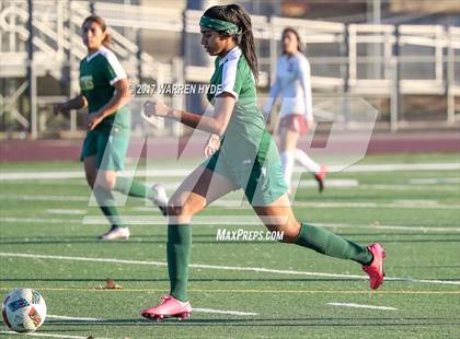 Thumbnail 3 in Florin @ Monterey Trail photogallery.