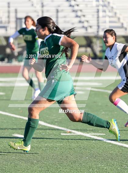 Thumbnail 2 in Florin @ Monterey Trail photogallery.