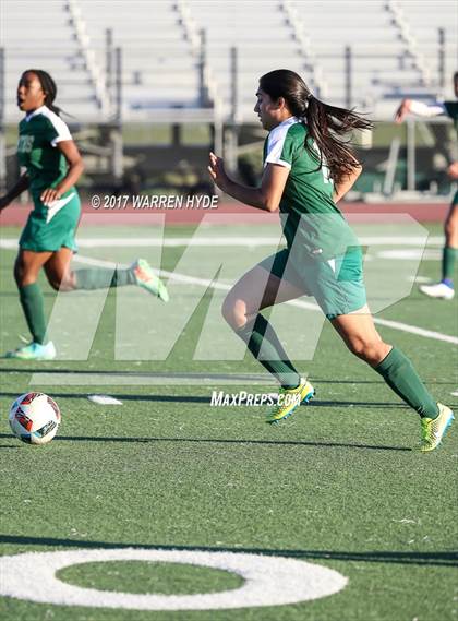 Thumbnail 3 in Florin @ Monterey Trail photogallery.