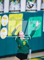 Photo from the gallery "Moorpark @ Royal"