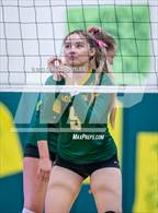 Photo from the gallery "Moorpark @ Royal"