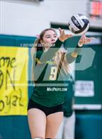 Photo from the gallery "Moorpark @ Royal"