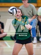 Photo from the gallery "Moorpark @ Royal"