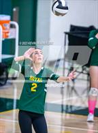 Photo from the gallery "Moorpark @ Royal"