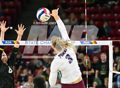 Thumbnail 2 in Basha vs. Perry (AIA 6A Final)  photogallery.