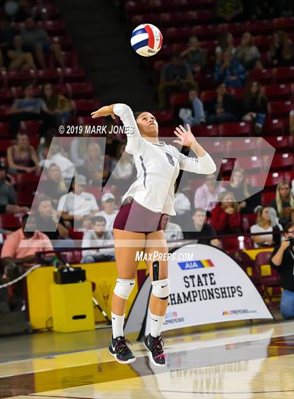 Thumbnail 3 in Basha vs. Perry (AIA 6A Final)  photogallery.