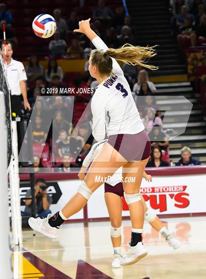 Thumbnail 1 in Basha vs. Perry (AIA 6A Final)  photogallery.