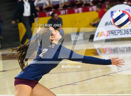 Thumbnail 3 in Basha vs. Perry (AIA 6A Final)  photogallery.