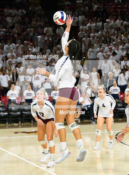 Thumbnail 1 in Basha vs. Perry (AIA 6A Final)  photogallery.