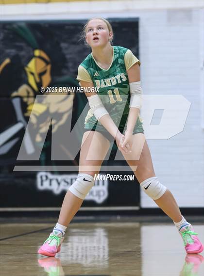 Thumbnail 1 in Community School of Davidson @ Bandys photogallery.