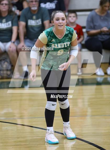 Thumbnail 3 in Community School of Davidson @ Bandys photogallery.