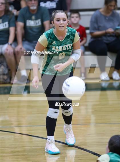 Thumbnail 1 in Community School of Davidson @ Bandys photogallery.