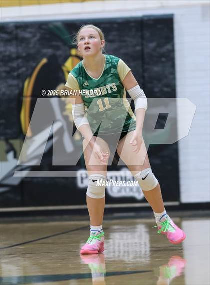 Thumbnail 3 in Community School of Davidson @ Bandys photogallery.