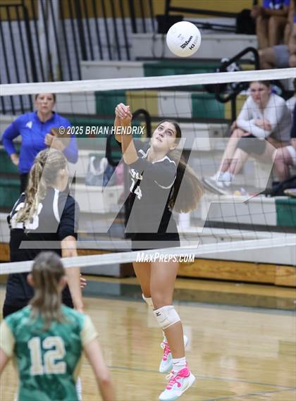 Thumbnail 1 in Community School of Davidson @ Bandys photogallery.