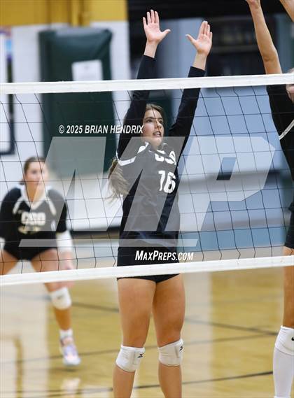 Thumbnail 1 in Community School of Davidson @ Bandys photogallery.