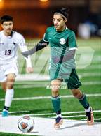 Photo from the gallery "Laguna Creek @ Monterey Trail"