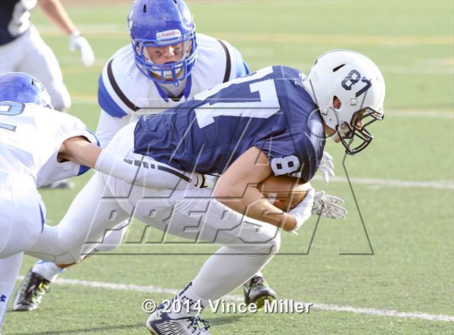 null - Photo 01