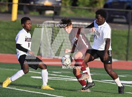 Thumbnail 2 in Wilson Magnet @ Greece Arcadia photogallery.
