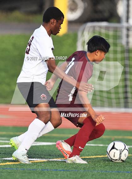 Thumbnail 3 in Wilson Magnet @ Greece Arcadia photogallery.