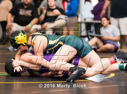 Thumbnail 2 in CIF SJS Girls District Wrestling Championships photogallery.
