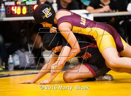 Thumbnail 2 in CIF SJS Girls District Wrestling Championships photogallery.