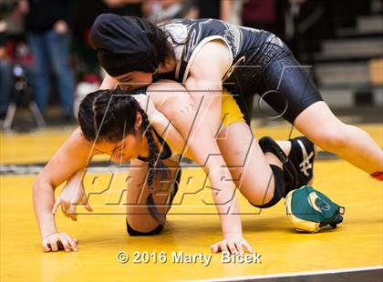 Thumbnail 2 in CIF SJS Girls District Wrestling Championships photogallery.