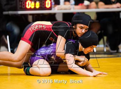 Thumbnail 2 in CIF SJS Girls District Wrestling Championships photogallery.