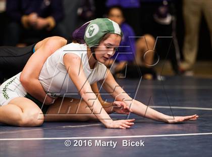 Thumbnail 1 in CIF SJS Girls District Wrestling Championships photogallery.