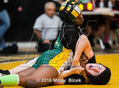 Thumbnail 1 in CIF SJS Girls District Wrestling Championships photogallery.