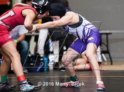 Thumbnail 1 in CIF SJS Girls District Wrestling Championships photogallery.