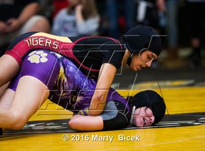 Thumbnail 3 in CIF SJS Girls District Wrestling Championships photogallery.