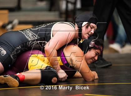 Thumbnail 1 in CIF SJS Girls District Wrestling Championships photogallery.