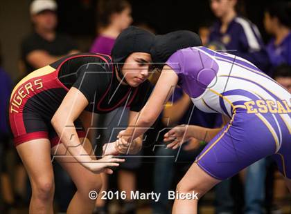 Thumbnail 2 in CIF SJS Girls District Wrestling Championships photogallery.