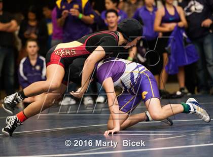 Thumbnail 3 in CIF SJS Girls District Wrestling Championships photogallery.